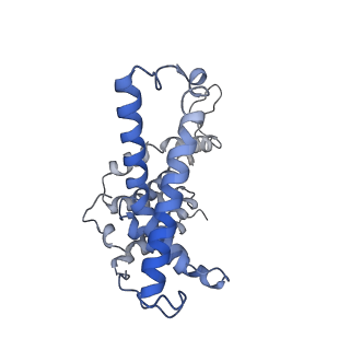 16122_8bmr_C_v1-1
Cryo-EM structure of the wild-type solitary ECF module in MSP2N2 lipid nanodiscs in the ATPase open and nucleotide-free conformation