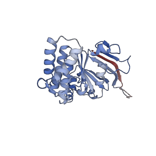 16124_8bms_A_v1-1
Cryo-EM structure of the mutant solitary ECF module 2EQ in MSP2N2 lipid nanodiscs in the ATPase closed and ATP-bound conformation