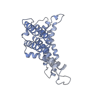 16124_8bms_C_v1-1
Cryo-EM structure of the mutant solitary ECF module 2EQ in MSP2N2 lipid nanodiscs in the ATPase closed and ATP-bound conformation