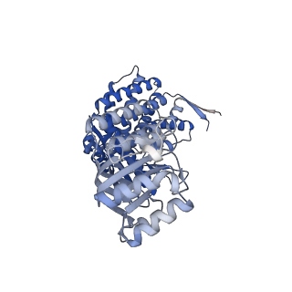 16125_8bmt_A_v1-2
Structure of GroEL:GroES-ATP complex plunge frozen 200 ms after reaction initiation