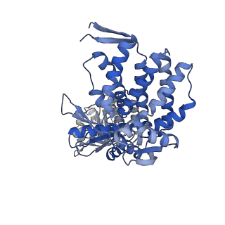 16125_8bmt_BA_v1-2
Structure of GroEL:GroES-ATP complex plunge frozen 200 ms after reaction initiation