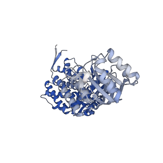 16125_8bmt_E_v1-2
Structure of GroEL:GroES-ATP complex plunge frozen 200 ms after reaction initiation
