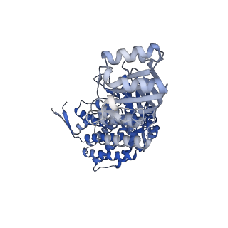 16125_8bmt_G_v1-2
Structure of GroEL:GroES-ATP complex plunge frozen 200 ms after reaction initiation
