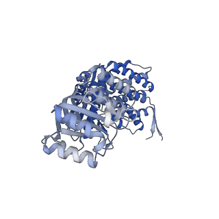 16125_8bmt_I_v1-2
Structure of GroEL:GroES-ATP complex plunge frozen 200 ms after reaction initiation