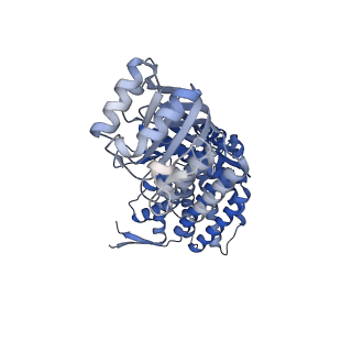 16125_8bmt_J_v1-2
Structure of GroEL:GroES-ATP complex plunge frozen 200 ms after reaction initiation