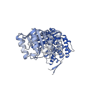 16125_8bmt_L_v1-2
Structure of GroEL:GroES-ATP complex plunge frozen 200 ms after reaction initiation