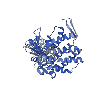 16125_8bmt_N_v1-2
Structure of GroEL:GroES-ATP complex plunge frozen 200 ms after reaction initiation