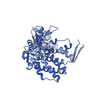 16125_8bmt_P_v1-2
Structure of GroEL:GroES-ATP complex plunge frozen 200 ms after reaction initiation