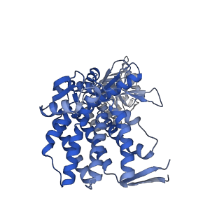 16125_8bmt_R_v1-2
Structure of GroEL:GroES-ATP complex plunge frozen 200 ms after reaction initiation