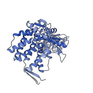 16125_8bmt_T_v1-2
Structure of GroEL:GroES-ATP complex plunge frozen 200 ms after reaction initiation