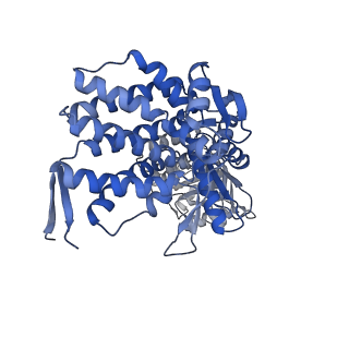 16125_8bmt_X_v1-2
Structure of GroEL:GroES-ATP complex plunge frozen 200 ms after reaction initiation
