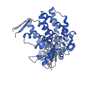 16125_8bmt_Z_v1-2
Structure of GroEL:GroES-ATP complex plunge frozen 200 ms after reaction initiation
