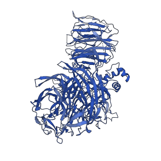 7114_6bm0_A_v1-4
Cryo-EM structure of human CPSF-160-WDR33 complex at 3.8 A resolution