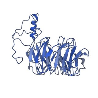 7114_6bm0_B_v1-4
Cryo-EM structure of human CPSF-160-WDR33 complex at 3.8 A resolution