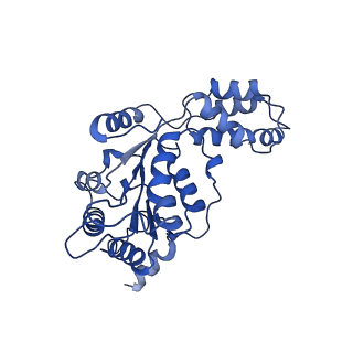 8887_6bmf_C_v1-0
Vps4p-Vta1p complex with peptide binding to the central pore of Vps4p