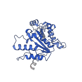 8887_6bmf_D_v1-0
Vps4p-Vta1p complex with peptide binding to the central pore of Vps4p