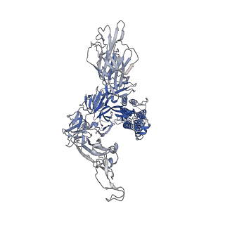 12229_7bnm_C_v1-2
Closed conformation of D614G SARS-CoV-2 spike protein