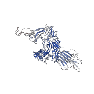 12230_7bnn_C_v1-2
Open conformation of D614G SARS-CoV-2 spike with 1 Erect RBD