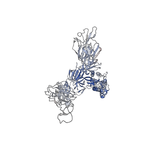 12231_7bno_A_v1-2
Open conformation of D614G SARS-CoV-2 spike with 2 Erect RBDs