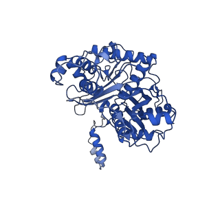 16135_8bnu_B_v1-2
Escherichia coli anaerobic fatty acid beta oxidation trifunctional enzyme (anEcTFE) tetrameric complex