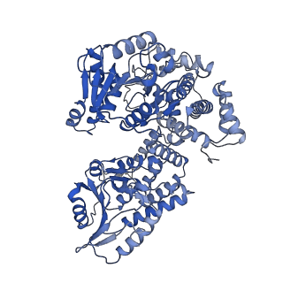 16135_8bnu_C_v1-2
Escherichia coli anaerobic fatty acid beta oxidation trifunctional enzyme (anEcTFE) tetrameric complex