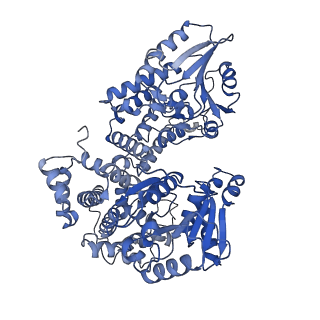 16135_8bnu_D_v1-2
Escherichia coli anaerobic fatty acid beta oxidation trifunctional enzyme (anEcTFE) tetrameric complex