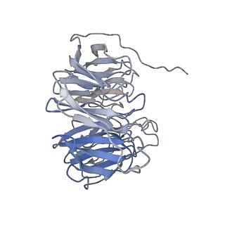 16137_8bnz_B_v1-3
BAM-EspP complex structure with BamA-G431C/EspP-N1293C mutations in nanodisc