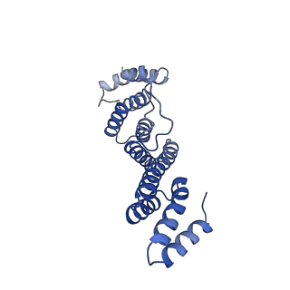 16137_8bnz_D_v1-3
BAM-EspP complex structure with BamA-G431C/EspP-N1293C mutations in nanodisc