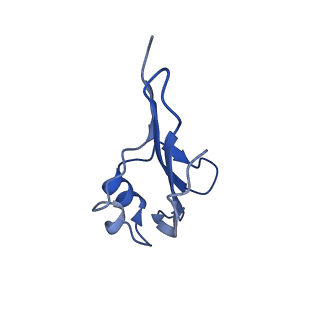 16137_8bnz_E_v1-3
BAM-EspP complex structure with BamA-G431C/EspP-N1293C mutations in nanodisc