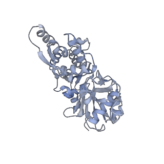 7116_6bnp_A_v1-1
CryoEM structure of MyosinVI-actin complex in the rigor (nucleotide-free) state