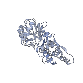 7116_6bnp_B_v1-1
CryoEM structure of MyosinVI-actin complex in the rigor (nucleotide-free) state