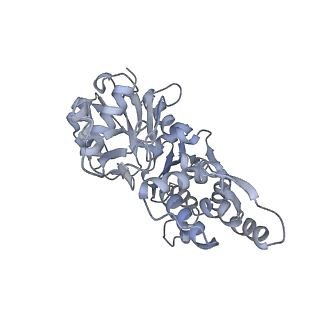 7116_6bnp_B_v1-2
CryoEM structure of MyosinVI-actin complex in the rigor (nucleotide-free) state