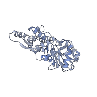 7116_6bnp_C_v1-2
CryoEM structure of MyosinVI-actin complex in the rigor (nucleotide-free) state