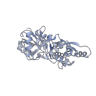 7116_6bnp_D_v1-1
CryoEM structure of MyosinVI-actin complex in the rigor (nucleotide-free) state