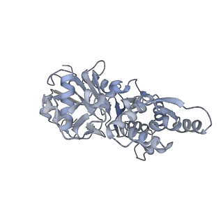 7116_6bnp_D_v1-2
CryoEM structure of MyosinVI-actin complex in the rigor (nucleotide-free) state