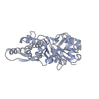 7116_6bnp_E_v1-1
CryoEM structure of MyosinVI-actin complex in the rigor (nucleotide-free) state