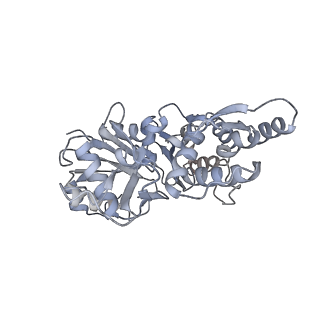7116_6bnp_F_v1-1
CryoEM structure of MyosinVI-actin complex in the rigor (nucleotide-free) state
