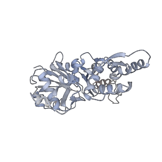7116_6bnp_F_v1-2
CryoEM structure of MyosinVI-actin complex in the rigor (nucleotide-free) state