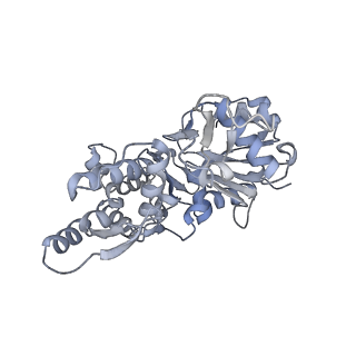 7116_6bnp_G_v1-1
CryoEM structure of MyosinVI-actin complex in the rigor (nucleotide-free) state