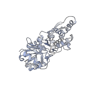 7116_6bnp_H_v1-1
CryoEM structure of MyosinVI-actin complex in the rigor (nucleotide-free) state