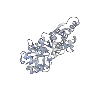 7116_6bnp_H_v1-2
CryoEM structure of MyosinVI-actin complex in the rigor (nucleotide-free) state