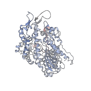 7116_6bnp_I_v1-1
CryoEM structure of MyosinVI-actin complex in the rigor (nucleotide-free) state