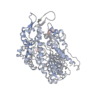 7116_6bnp_I_v1-2
CryoEM structure of MyosinVI-actin complex in the rigor (nucleotide-free) state