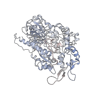 7116_6bnp_J_v1-1
CryoEM structure of MyosinVI-actin complex in the rigor (nucleotide-free) state