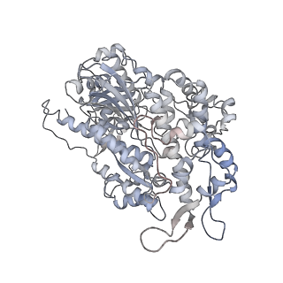 7116_6bnp_J_v1-2
CryoEM structure of MyosinVI-actin complex in the rigor (nucleotide-free) state