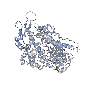 7116_6bnp_K_v1-1
CryoEM structure of MyosinVI-actin complex in the rigor (nucleotide-free) state