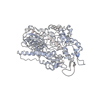 7116_6bnp_L_v1-1
CryoEM structure of MyosinVI-actin complex in the rigor (nucleotide-free) state