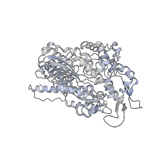 7116_6bnp_L_v1-2
CryoEM structure of MyosinVI-actin complex in the rigor (nucleotide-free) state