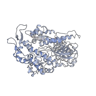 7116_6bnp_M_v1-1
CryoEM structure of MyosinVI-actin complex in the rigor (nucleotide-free) state