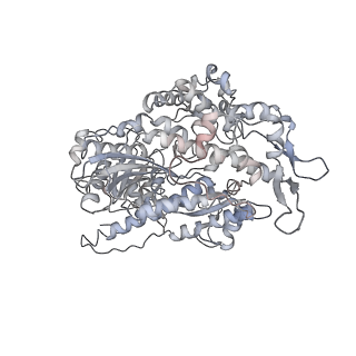 7116_6bnp_N_v1-1
CryoEM structure of MyosinVI-actin complex in the rigor (nucleotide-free) state